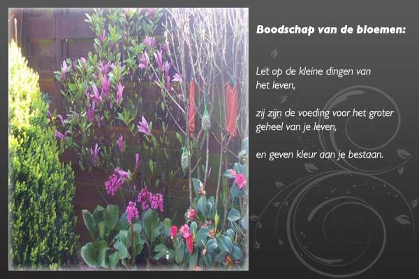 bloemenboodschap-2