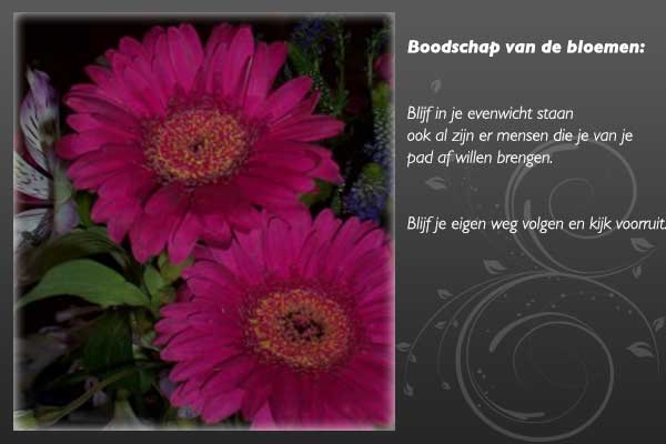 bloemenboodschap-5