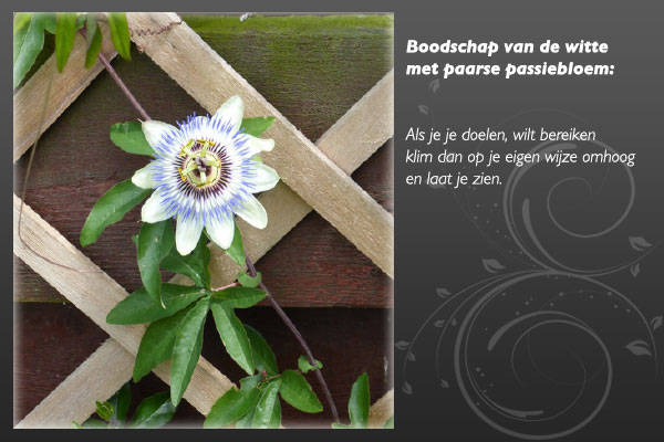 bloemenboodschap-anoniem-3